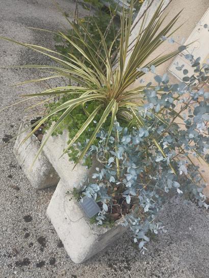 Maison De Village Appartement Rdc Avec Terrasse جي المظهر الخارجي الصورة